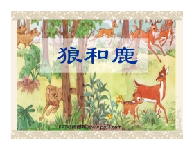 《狼和鹿》PPT课件5