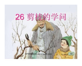 《剪枝的学问》PPT课件5
