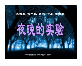 《夜晚的实验》PPT课件5