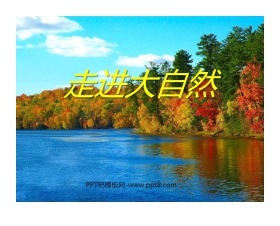 《走进大自然》PPT课件2