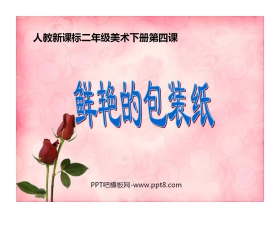 《鲜艳的包装纸》PPT课件