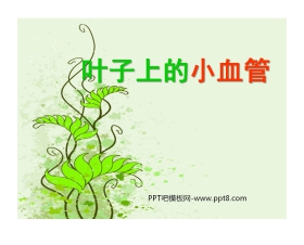 《叶子上的小血管》PPT课件2