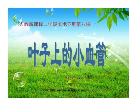 《叶子上的小血管》PPT课件3