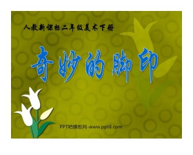 《奇妙的脚印》PPT课件2