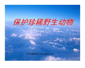 《保护珍稀野生动物》PPT课件