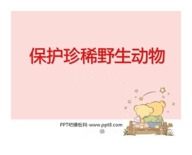 《保护珍稀野生动物》PPT课件2