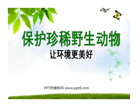 《保护珍稀野生动物》PPT课件4