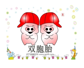 《双胞胎》PPT课件