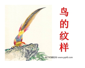 《鸟的纹样》PPT课件