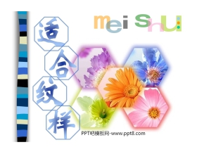 《适合纹样》PPT课件
