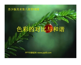 《色彩的对比与和谐》PPT课件