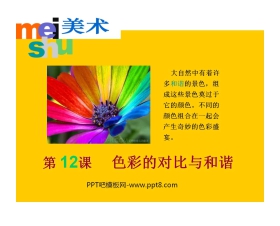 《色彩的对比与和谐》PPT课件2