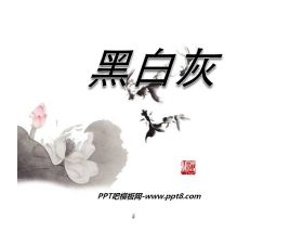 《黑白灰》PPT课件