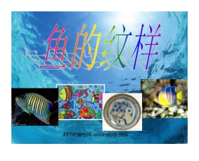 《鱼的纹样》PPT课件2