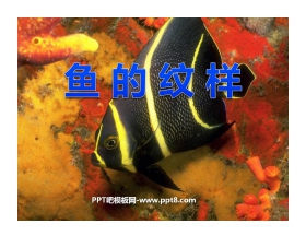 《鱼的纹样》PPT课件3