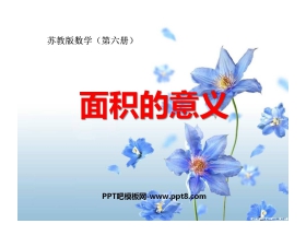 《面积的含义》长方形和正方形的面积PPT课件