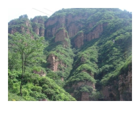 《青山不老》PPT课件下载4
