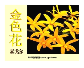 《诗两首-金色花》PPT课件4