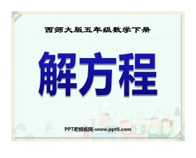 《解方程》方程PPT课件2