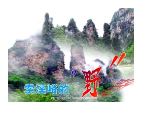 《索溪峪的“野”》PPT课件下载4