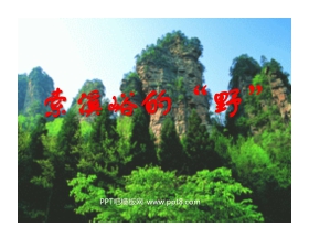 《索溪峪的“野”》PPT课件下载5