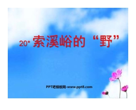 《索溪峪的“野”》PPT课件下载6