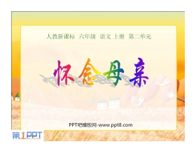 《怀念母亲》PPT课件下载3