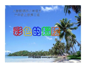 《彩色的翅膀》PPT课件下载3