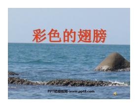 《彩色的翅膀》PPT课件下载4