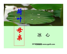 《荷叶母亲》PPT课件3