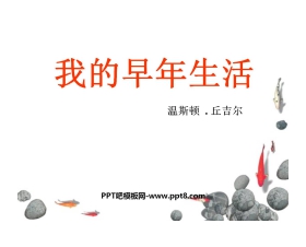 《我的早年生活》PPT课件2