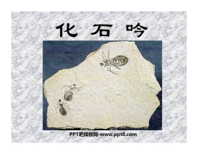 《化石吟》PPT课件3