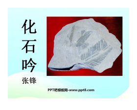 《化石吟》PPT课件4