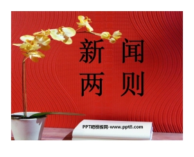 《新闻两则》PPT课件4
