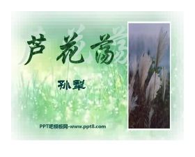 《芦花荡》PPT课件4