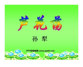 《芦花荡》PPT课件5