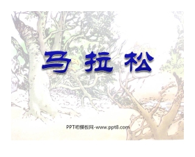 《马拉松》PPT课件3