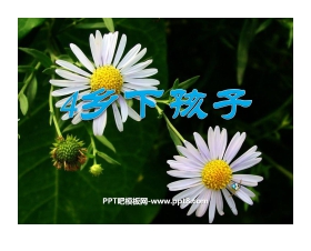 《乡下孩子》PPT课件4
