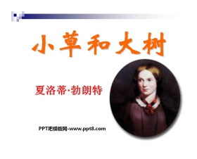 《小草和大树》PPT课件4