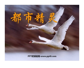 《都市精灵》PPT课件3