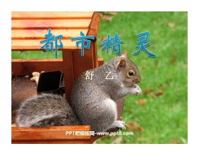 《都市精灵》PPT课件4
