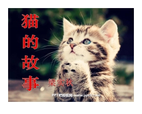 《猫的故事》PPT课件