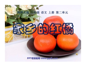 《家乡的红橘》PPT课件4