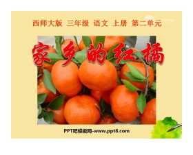 《家乡的红橘》PPT课件5