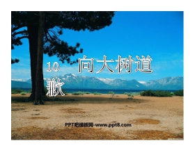 《向大树道歉》PPT课件4