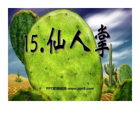 《仙人掌》PPT课件4