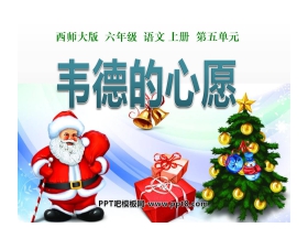 《韦德的心愿》PPT课件4