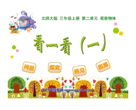 《看一看》观察物体PPT课件