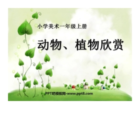 《动物、植物欣赏》PPT课件