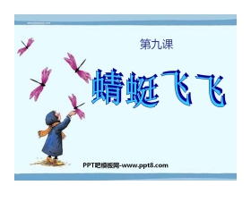 《蜻蜓飞飞》PPT课件